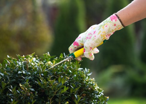 Professionals performing tree lopping in Southgate