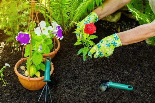 Variety of flowering plants and shrubs in a Southgate landscape
