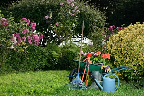 Safe tree removal process by experts