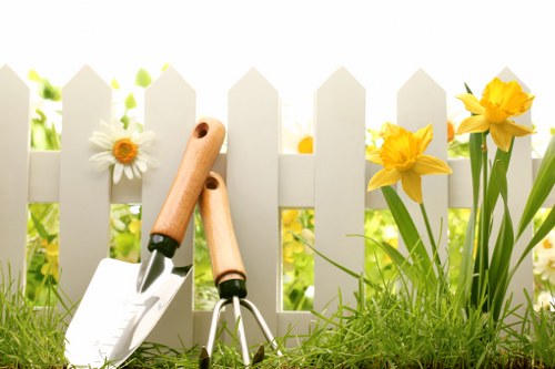 Healthy green lawn maintained by expert mowing