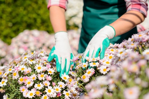 Popular plants thriving in Southgate gardens
