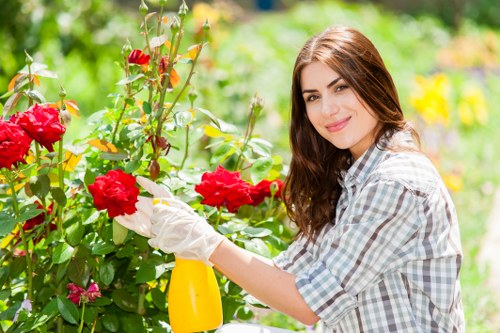 Tools and machinery used for efficient garden clearance in Southgate