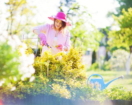 Professional landscaper maintaining a vibrant Southgate garden